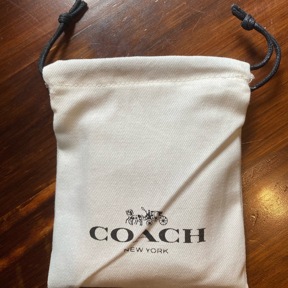 Coach Necklace and Earrings
